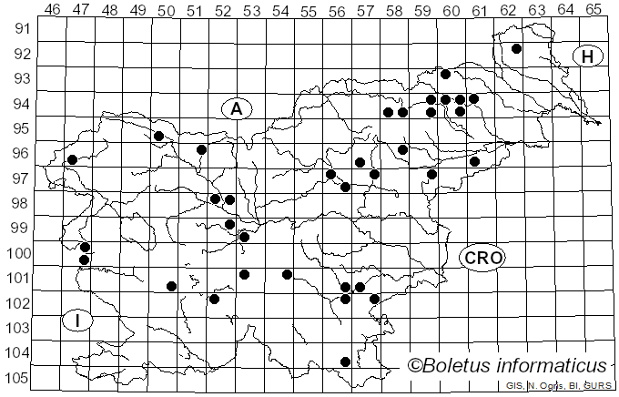 <i>Hemimycena lactea</i> (Pers.) Singer (1938)