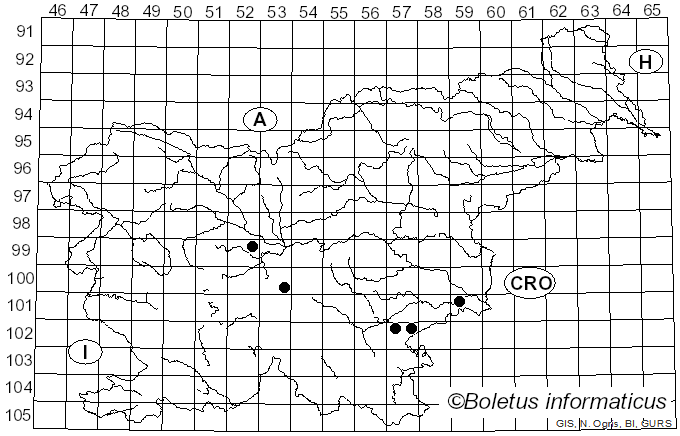 <i>Cortinarius vernalis</i> Rob. Henry (1961)