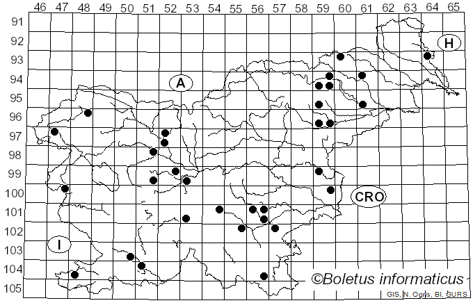<i>Calonarius elegantissimus</i> (Rob. Henry) Niskanen & Liimat. (2022)
