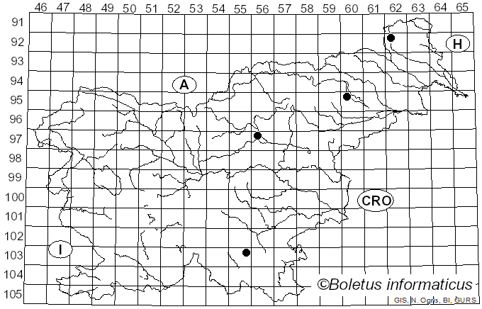 <i>Tremella candida</i> Pers. (1801)