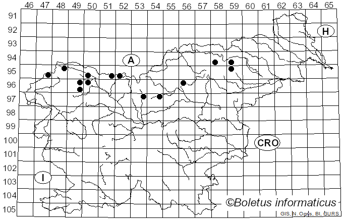 <i>Rutstroemia bulgarioides</i> (Rabenh.) P. Karst.