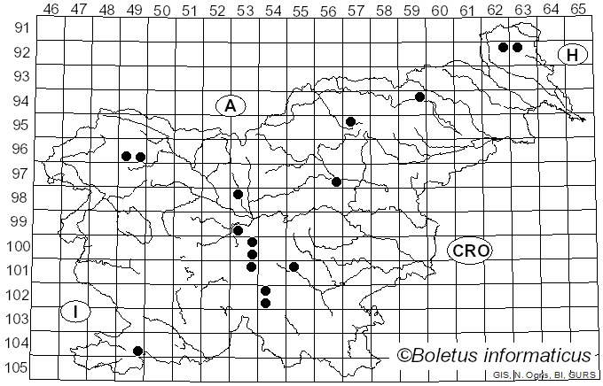 <i>Tricholoma sejunctum</i> var. <i>coryphaeum</i> (Fr.) A. Pearson & Dennis (1948)