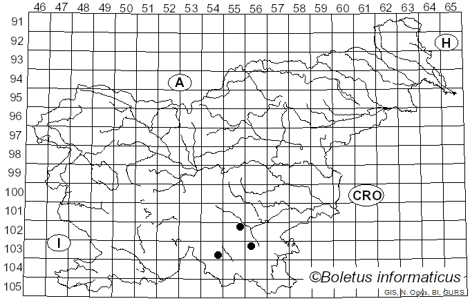 <i>Phlebia georgica</i> Parmasto (1967)