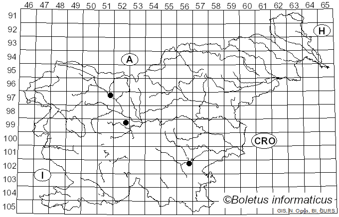 <i>Cordyceps farinosa</i> (Holmsk.) Kepler, B. Shrestha & Spatafora (2017)