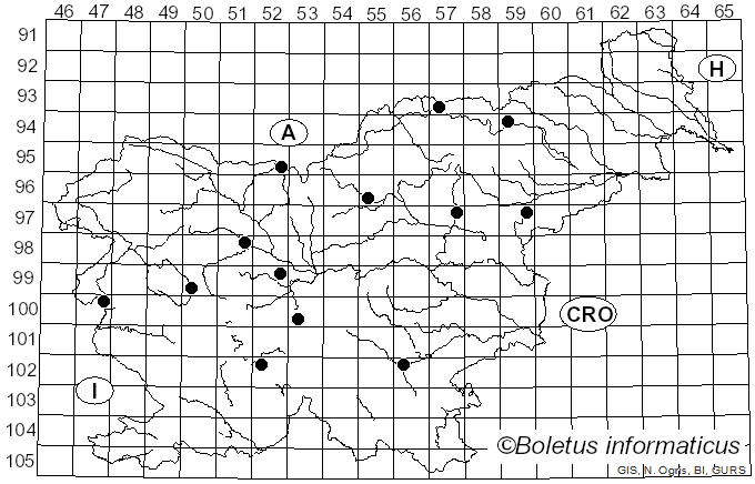<i>Clitocybula lacerata</i> (Scop.) Métrod (1952)