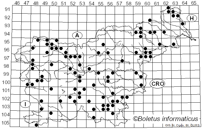 <i>Diatrype</i> Fr. (1849)