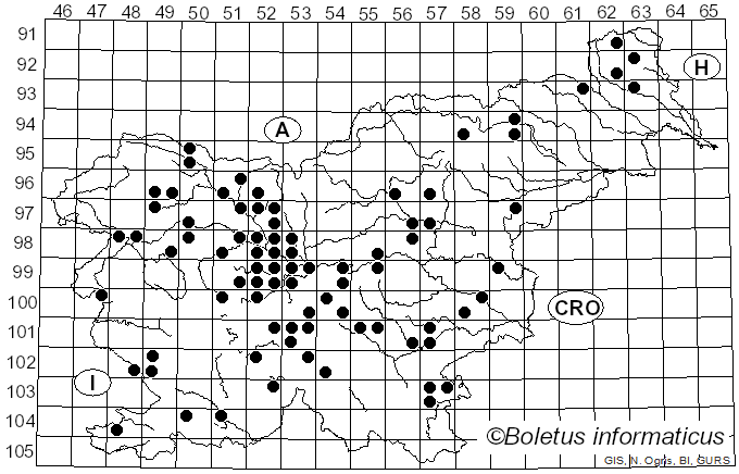 <i>Camarophyllus</i> (Fr.) P. Kumm. (1871)