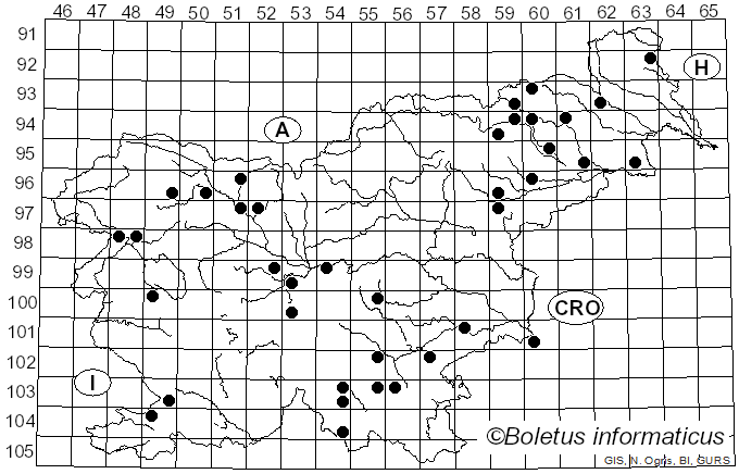 <i>Hyphodontia</i> J. Erikss. (1958)