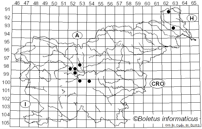 <i>Tubaria pellucida</i> (Bull.) Fr.