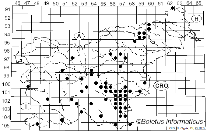 <i>Russula carpini</i> R. Girard & Heinem. (1956)