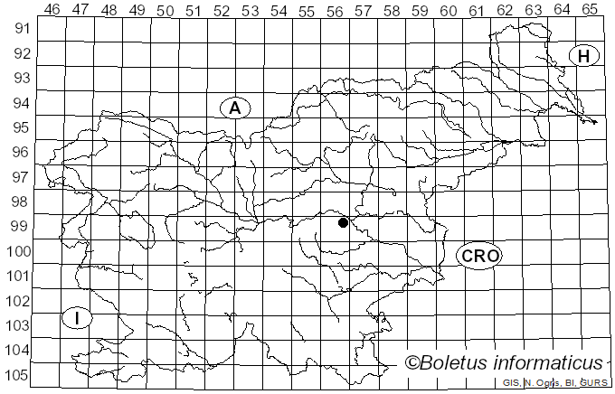 <i>Bolbitius reticulatus</i> (Pers.) Ricken (1911)