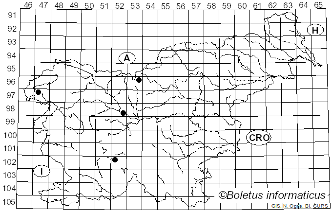 <i>Aspicilia calcarea</i> (L.) Körb. (1861)
