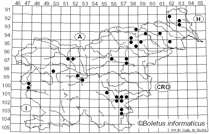 <i>Phaeoclavulina eumorpha</i> (P. Karst.) Giachini (2011)