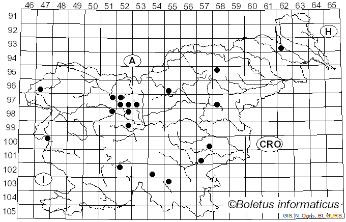<i>Pholiota jahnii</i> Tjall.-Beuk. & Bas (1986)