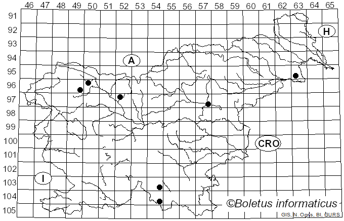 <i>Amphinema byssoides</i> (Pers.) J. Erikss. (1958)
