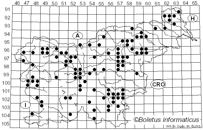 <i>Pholiota squarrosa</i> (Weigel) P. Kumm. (1871)