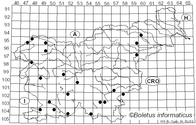 <i>Ceriporia</i> Donk (1933)