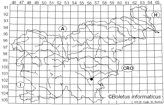 <i>Psathyrella panaeoloides</i> (Maire) Arnolds (1982)