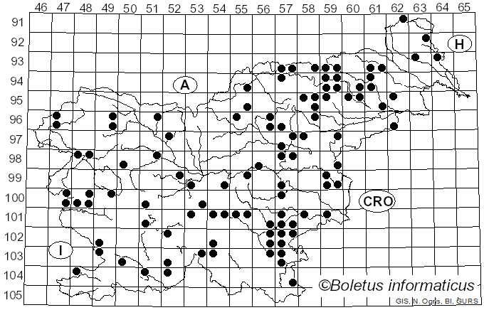 <i>Cortinarius anomalus</i> (Fr.) Fr. (1838)
