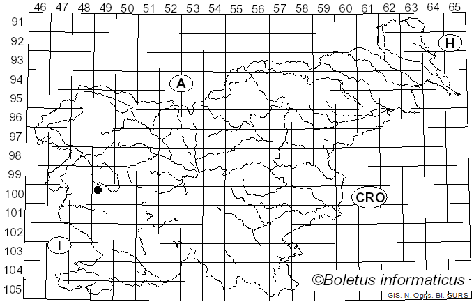 <i>Antrodiella fissiliformis</i> (Pilát) Gilb. & Ryvarden (1987)