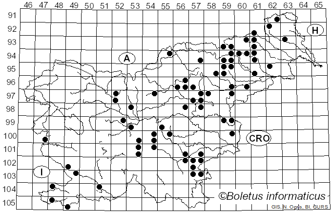 <i>Hygrophorus arbustivus</i> Fr. (1836)