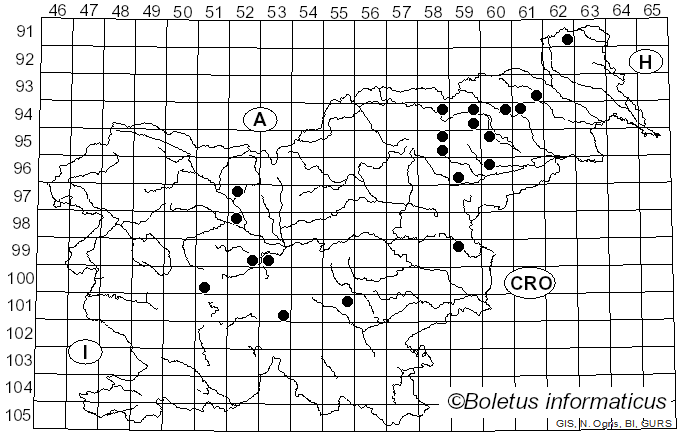 <i>Oligoporus leucomallellus</i> (Murrill) Gilb. & Ryvarden (1985)