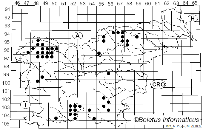 <i>Peltigera praetextata</i> (Flörke ex Sommerf.) Vain. (1899)