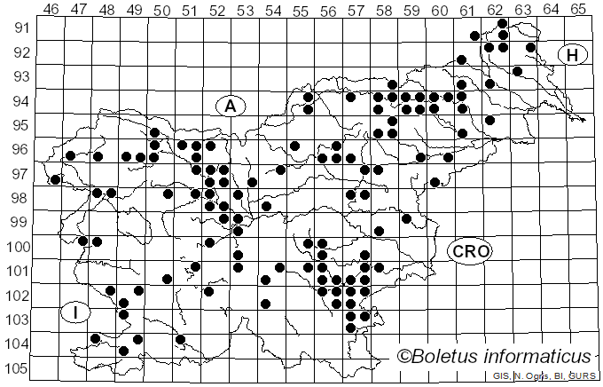 <i>Otidea</i> (Pers.) Bonord. (1851)