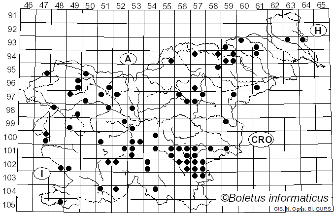 <i>Inosperma bongardii</i> (Weinm.) Matheny & Esteve-Rav. (2019)