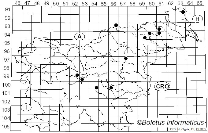 <i>Hebeloma versipelle</i> (Fr.) Gillet (1874)