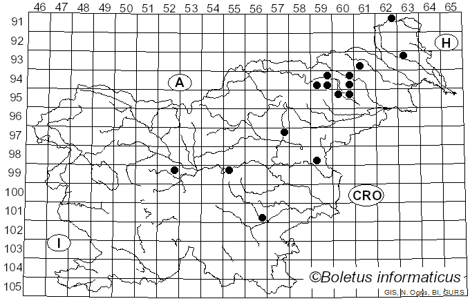 <i>Psathyrella fusca</i> (Schumach.) M.M. Moser (1952)