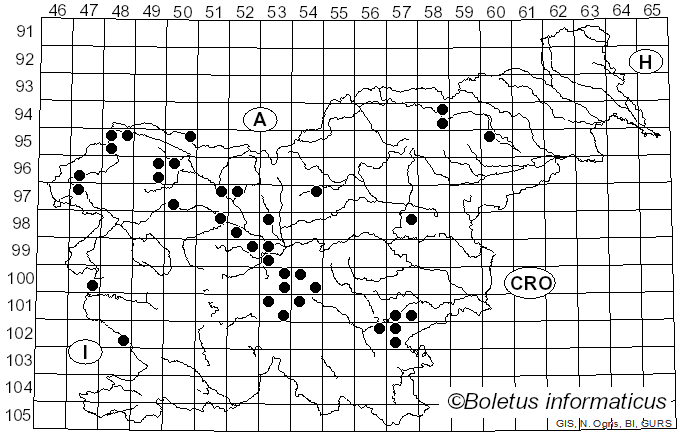 <i>Entoloma hirtipes</i> (Schumach.) M.M. Moser (1978)