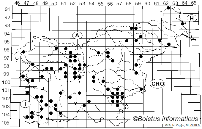 <i>Suillus collinitus</i> (Fr.) Kuntze (1898)