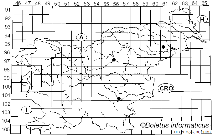 <i>Lactarius favrei</i> H. Jahn (1982)