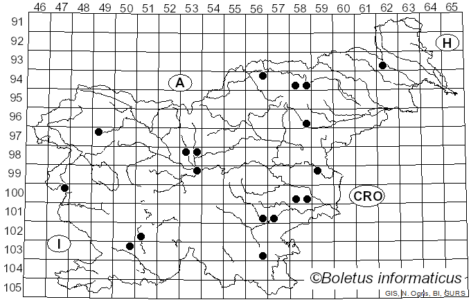Dothistroma septosporum/pini