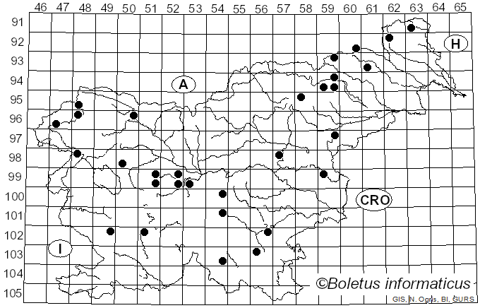 <i>Gloeophyllum trabeum</i> (Pers.) Murrill (1908)