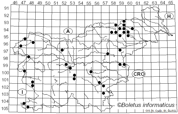 <i>Lepiota erminea</i> (Fr.) P. Kumm. (1874)