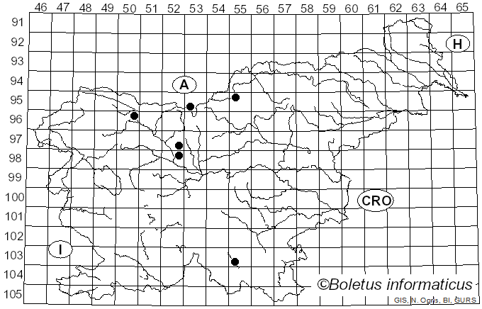 <i>Uromyces minor</i> J. Schröt. (1887)