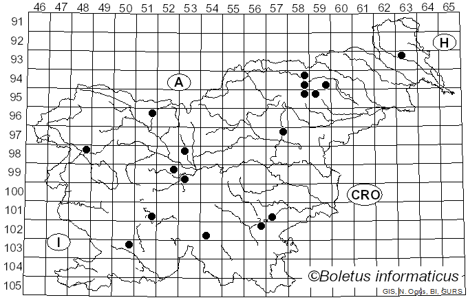 <i>Entoloma sericatum</i> (Britzelm.) Sacc. (1895)