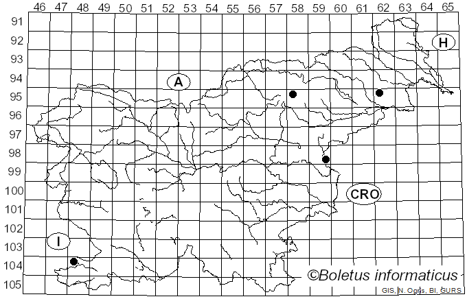<i>Phlegmacium argutum</i> (Fr.) Niskanen & Liimat. (2022)