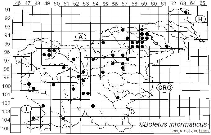 <i>Lactarius helvus</i> (Fr.) Fr. (1838)