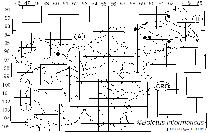 <i>Fuscopostia leucomallella</i> (Murrill) B.K. Cui, L.L. Shen & Y.C. Dai (2018)