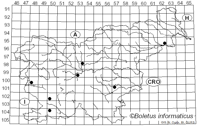 <i>Dasineura acercrispans</i> Kieff.