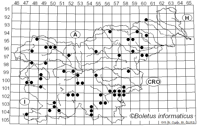 <i>Podofomes mollis</i> (Sommerf.) Gorjón (2020)