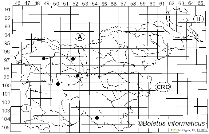 <i>Dasysyrphus venustus</i> Meigen