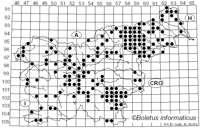 <i>Xerocomellus</i> Šutara (2008)