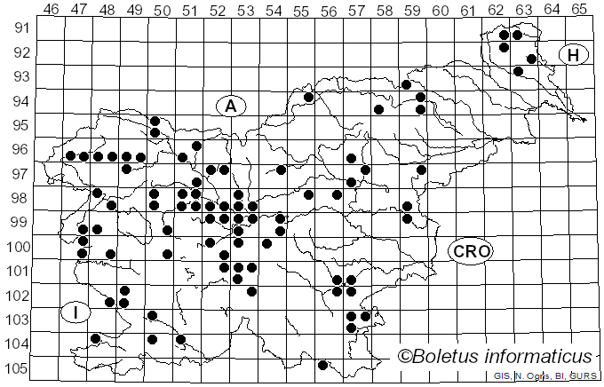 <i>Cuphophyllus pratensis</i> (Fr.) Bon (1985)
