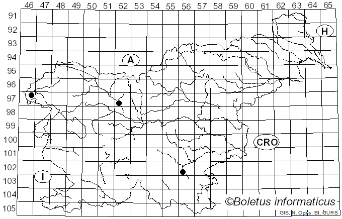<i>Clitopaxillus</i> G. Moreno, Vizzini, Consiglio & P. Alvarado (2018)