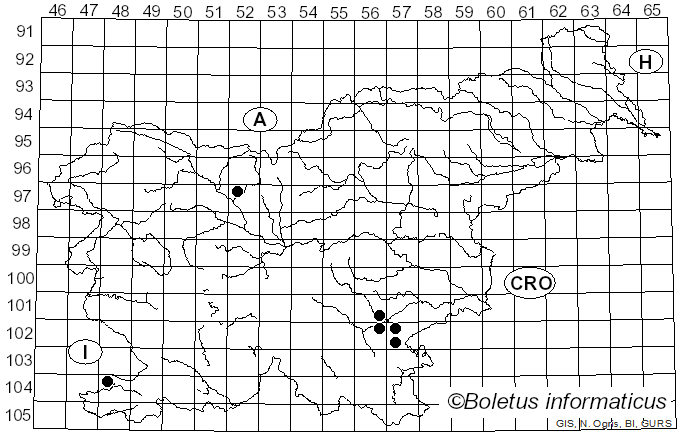 <i>Cortinarius contractus</i> Rob. Henry (1985)