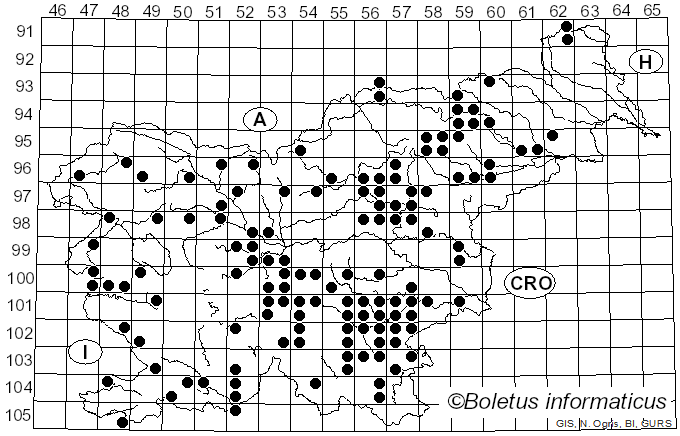 <i>Rubroboletus rhodoxanthus</i> (Krombh.) Kuan Zhao & Zhu L. Yang (2014)